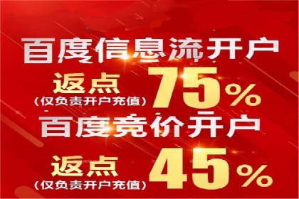 百度竞价推广公司成功经验分享：广告投放的技巧与策略